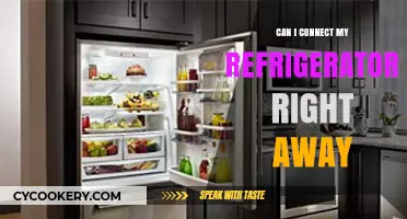 Can You Connect Your Refrigerator Right Away? Quick Setup Guide
