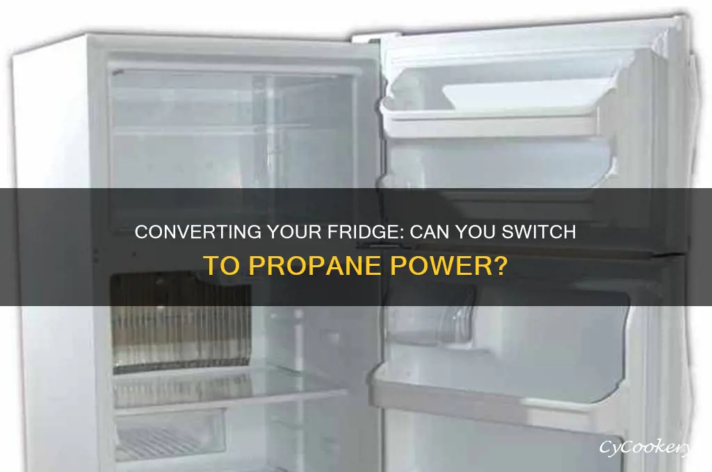 can i convert a refrigerator to propane