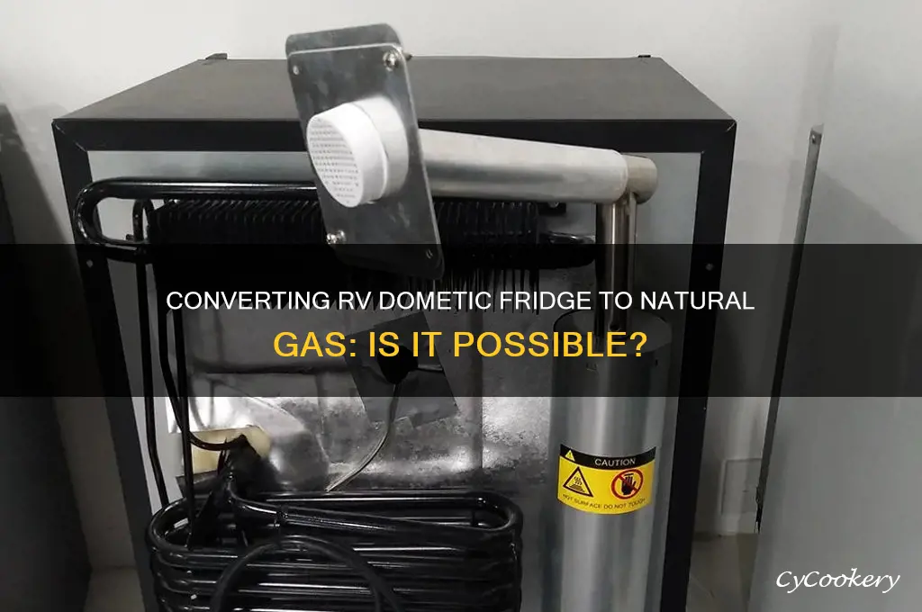 can i convert an rv dometic refrigerator to natural gas