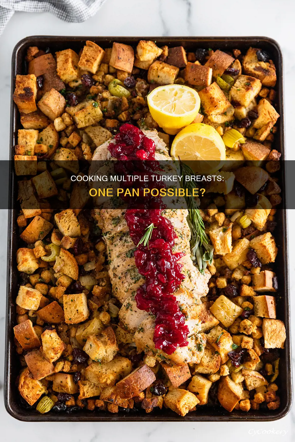 can I cook 2 turkey breasts in one pan