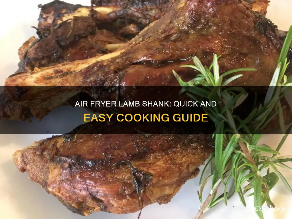 can i cook a lamb shank in an air fryer