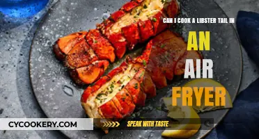 Air Fryer Adventure: Cooking Lobster Tail