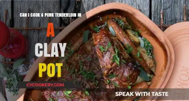 Clay Pot Pork Tenderloin: A Delicious, Easy Meal