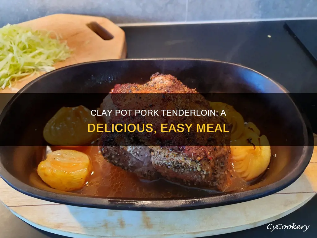 can I cook a pork tenderloin in a clay pot