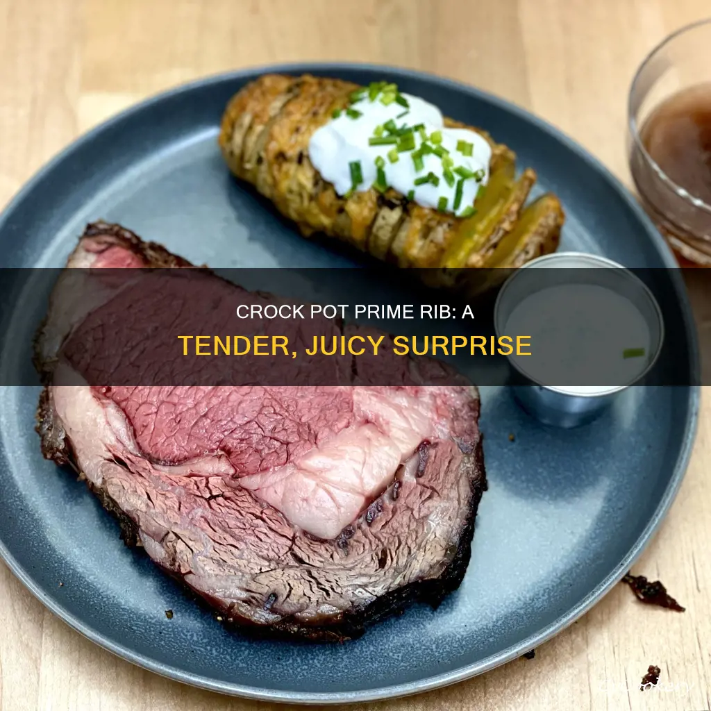 can I cook a prime rib in a crock pot