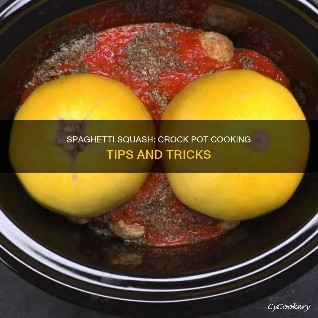 can I cook a spaghetti squash in a crock pot