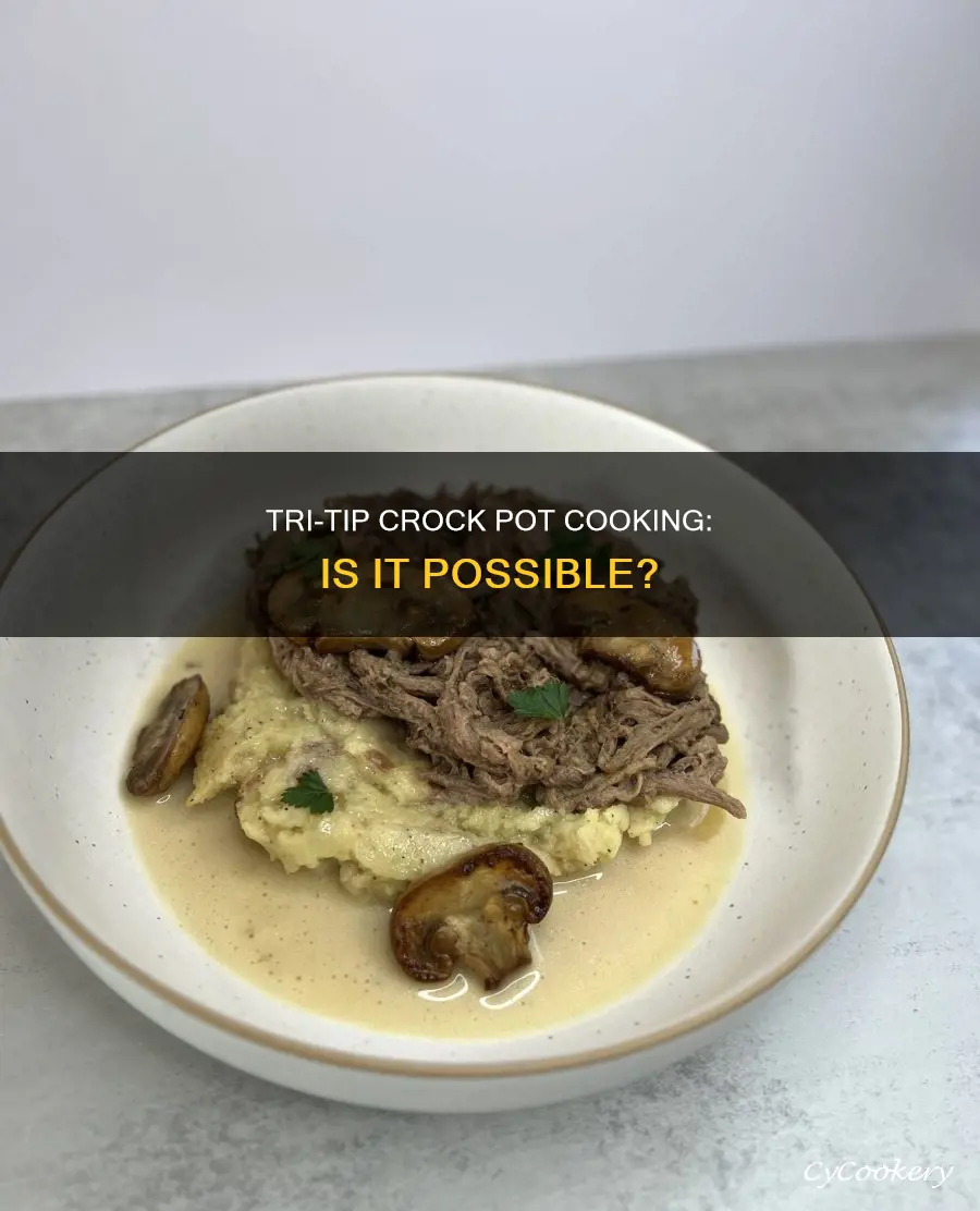 can I cook a tri tip in a crock pot