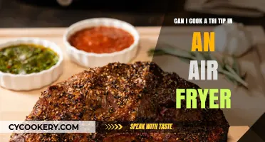 Mastering the Air Fryer: Tri Tip Perfection