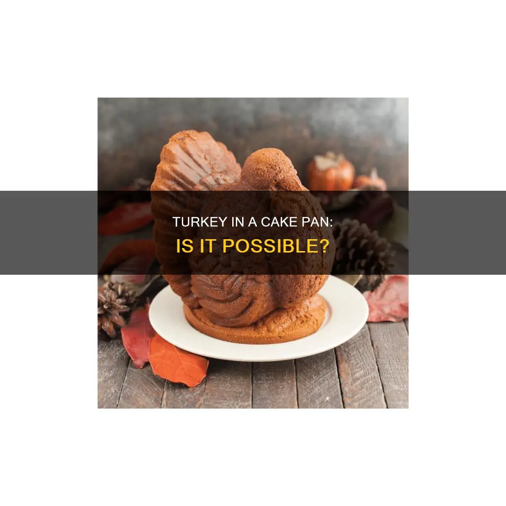 can I cook a turkey in a cake pan
