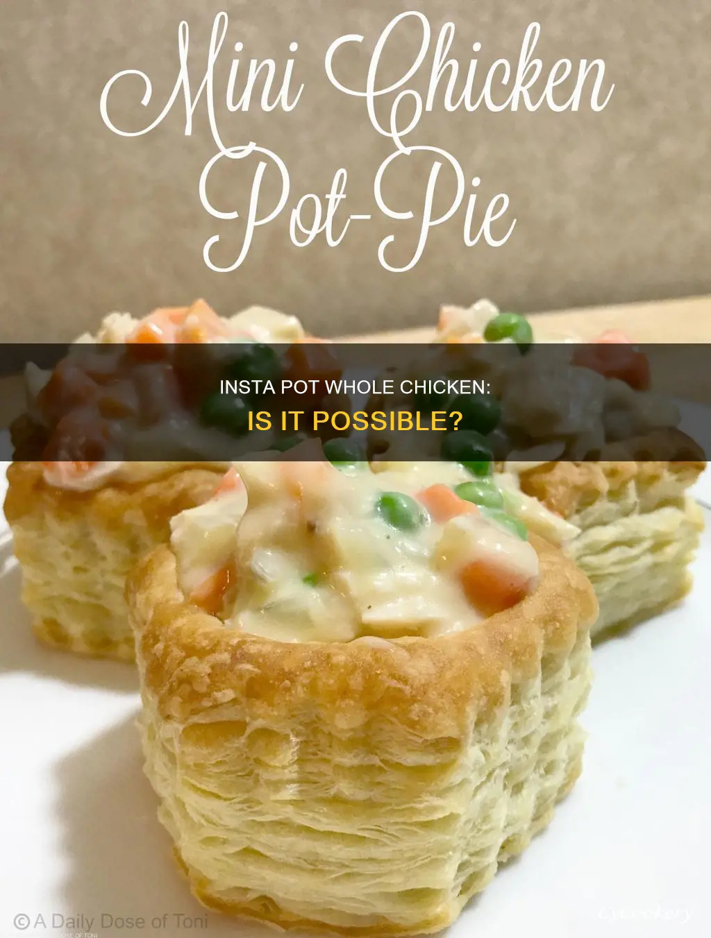 can I cook a whole chicken in mini insta pot
