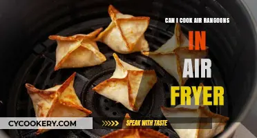 Crispy Air Fryer Rangeen: A Tasty Adventure