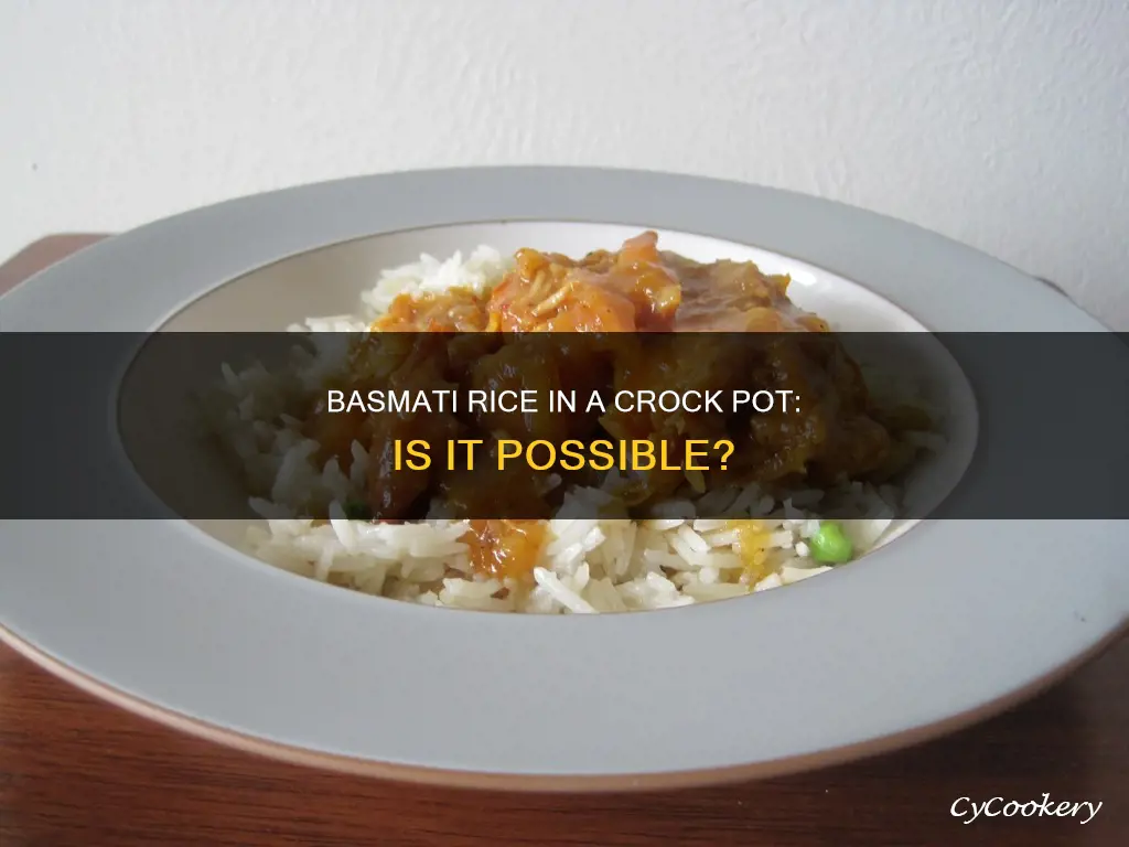 can I cook basmati rice in a crock pot