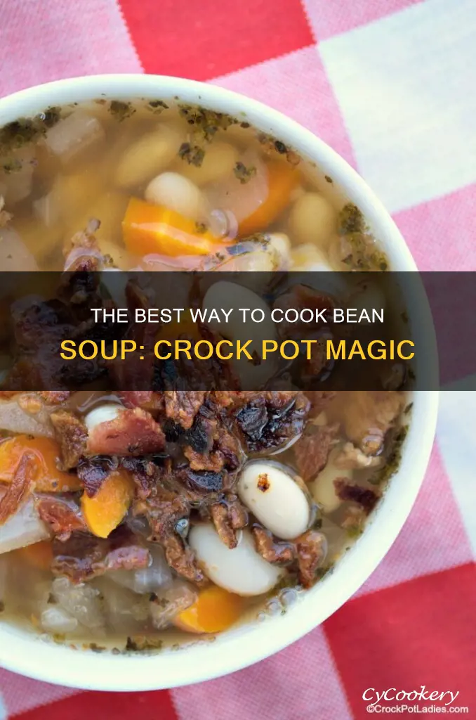 can I cook bean soup in a crock pot