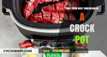 Crock Pot Beef Tenderloin: Can It Be Done?