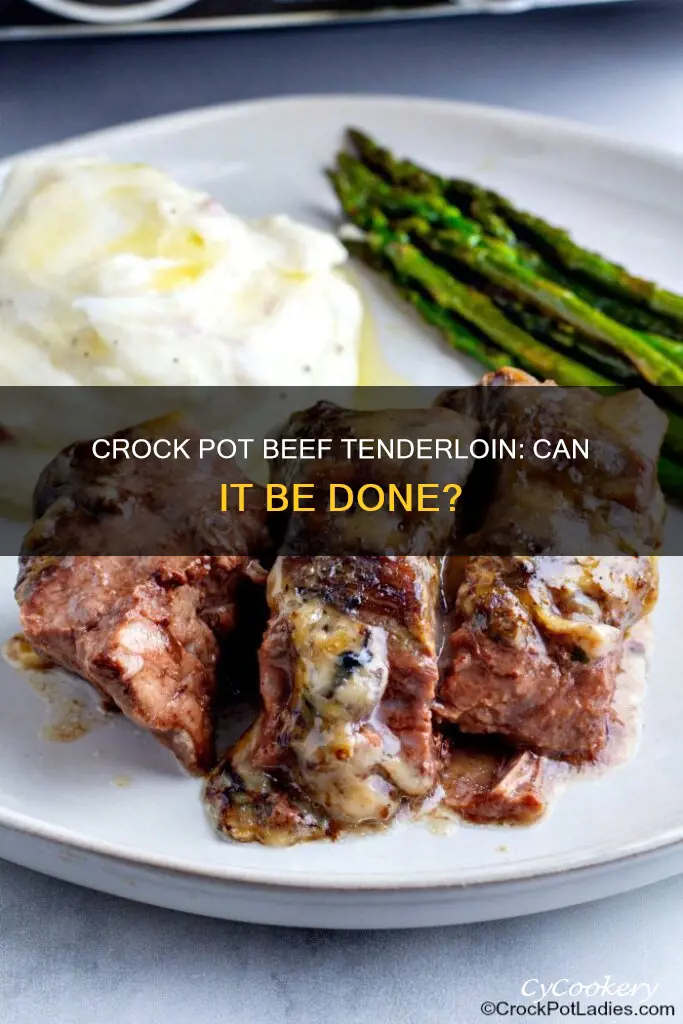 can I cook beef tenderloin in a crock pot