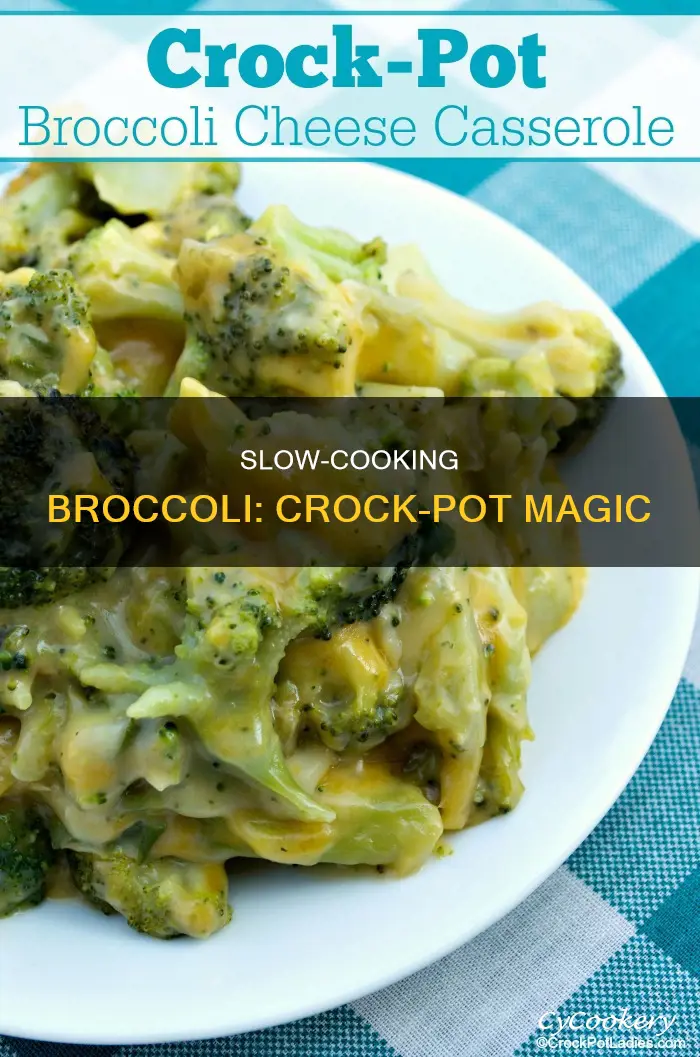 can I cook broccli in a crock pot