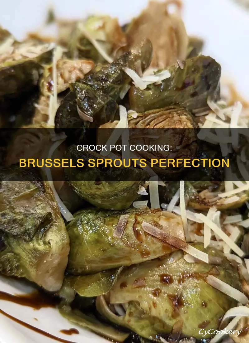 can I cook brussel sprouts in a crock pot