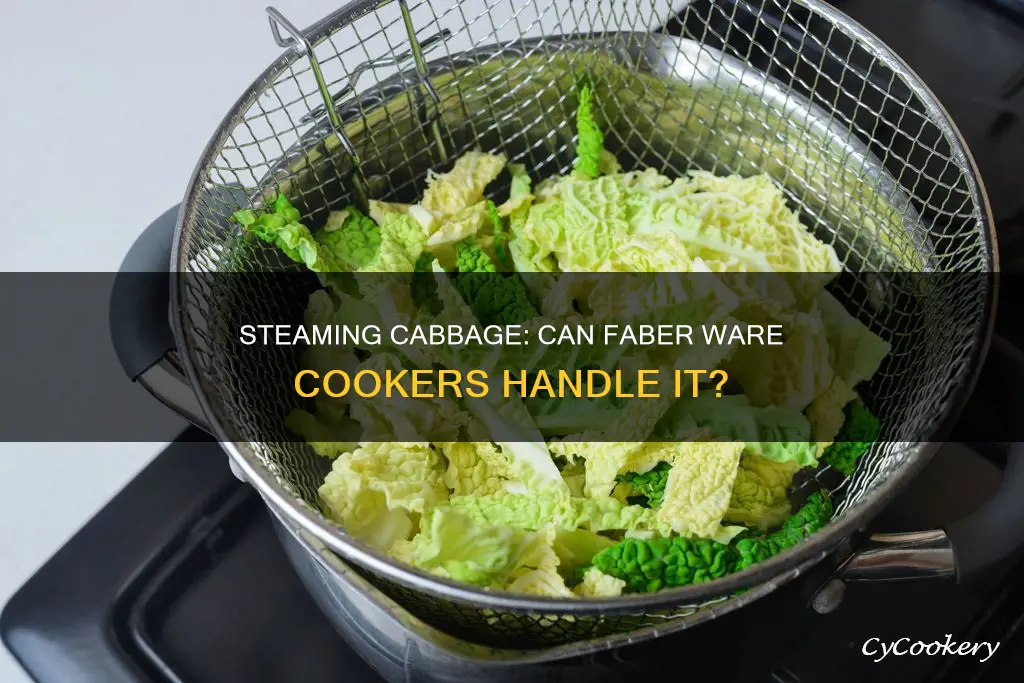 can i cook cabbage in a faber ware steam cooker