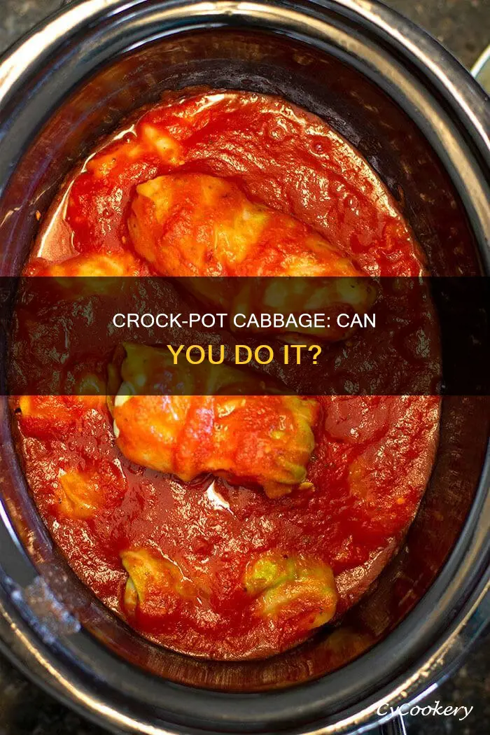 can I cook cabbage in the crock pot