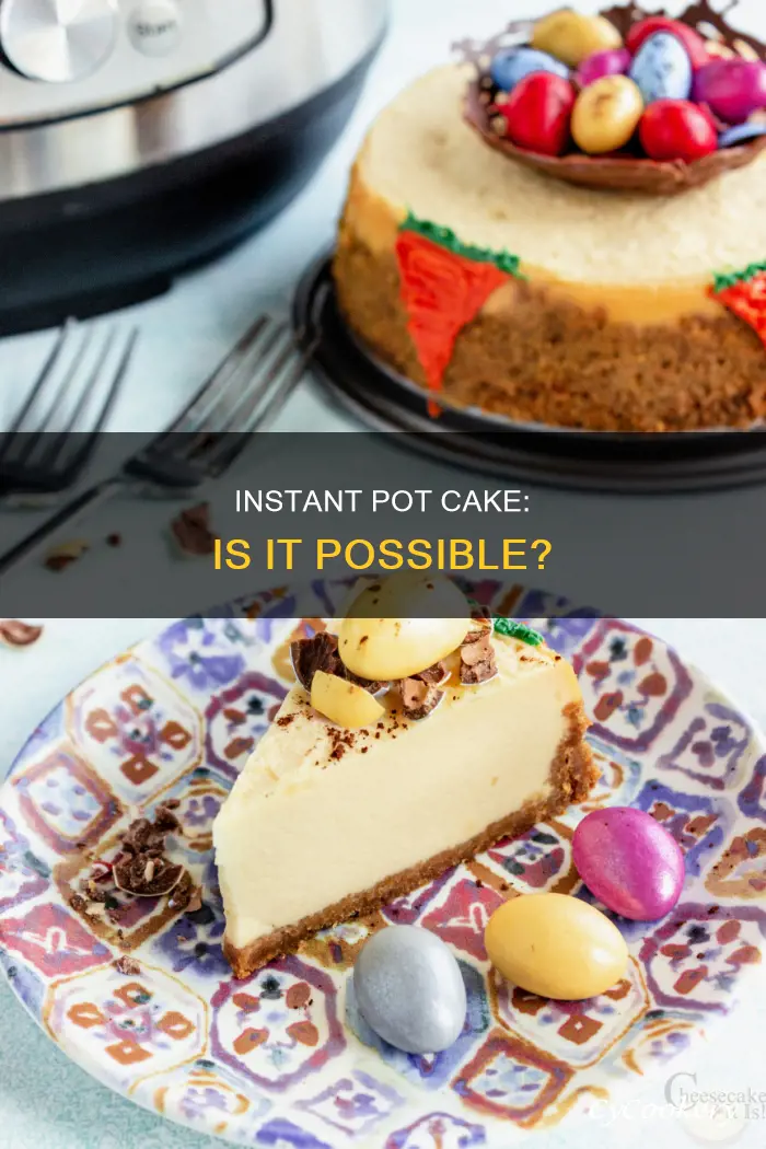 can I cook cake in the insta pot