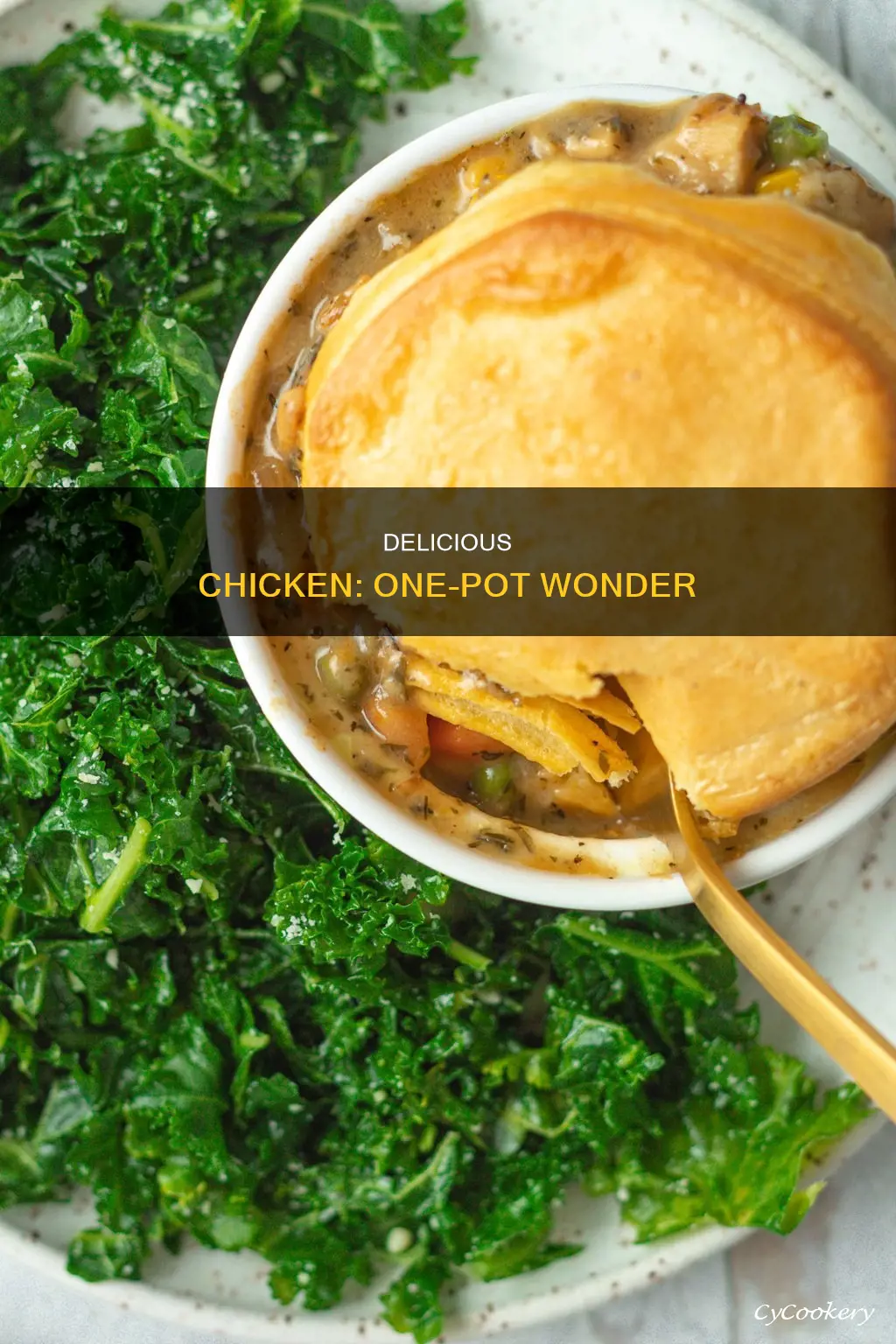 can I cook chicken in a pot