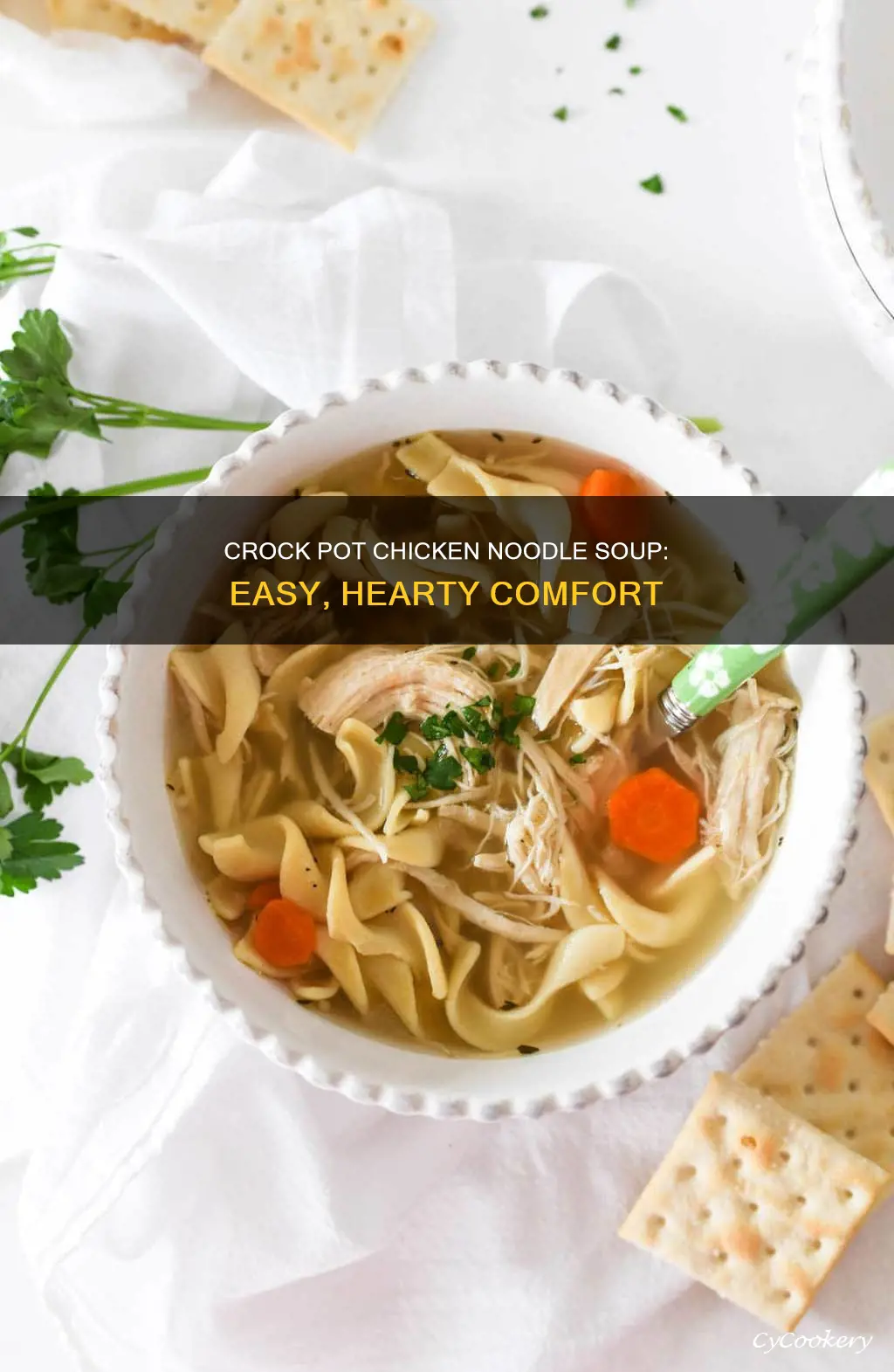 can I cook chicken noodle in crock pot
