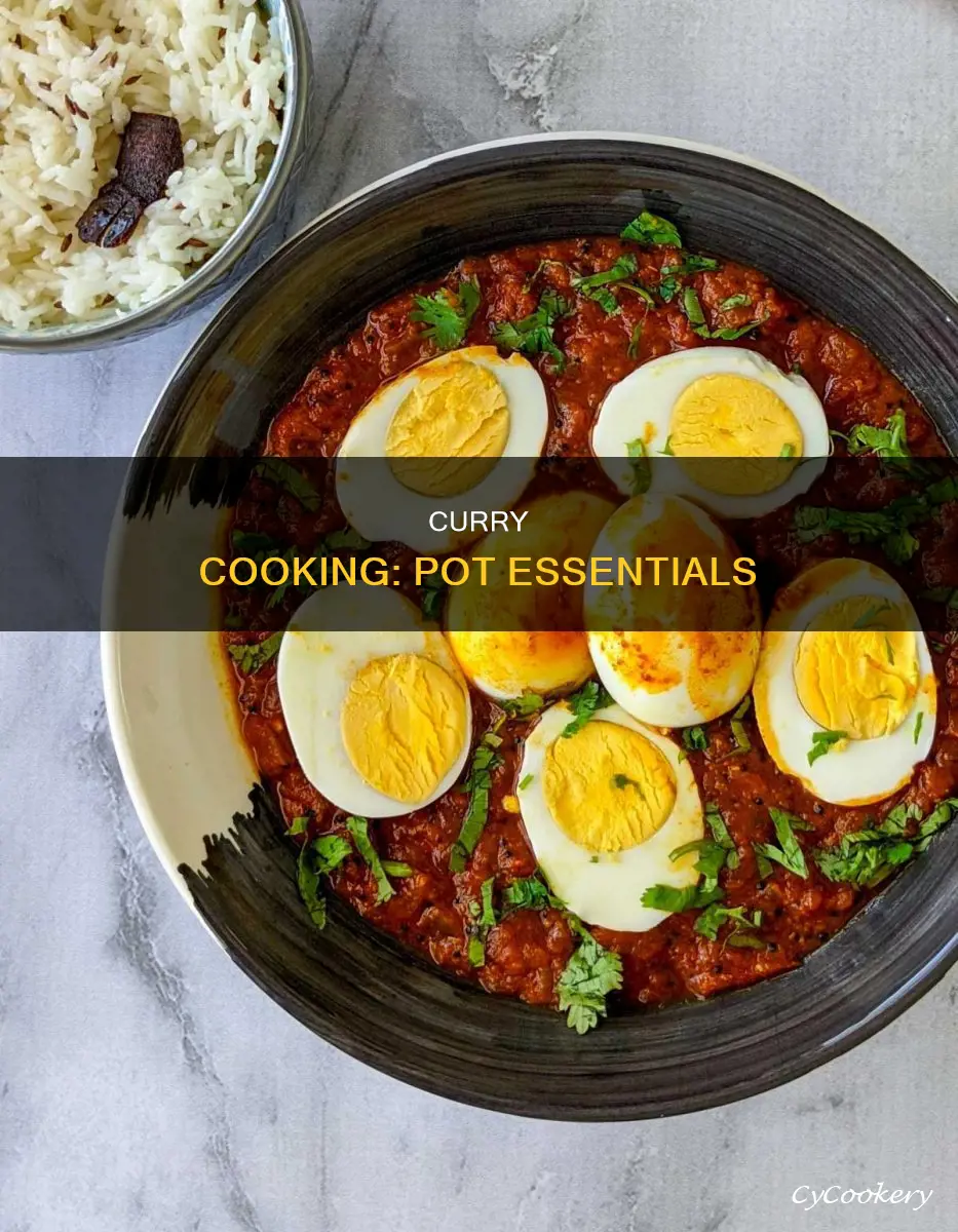can I cook curry in a pot