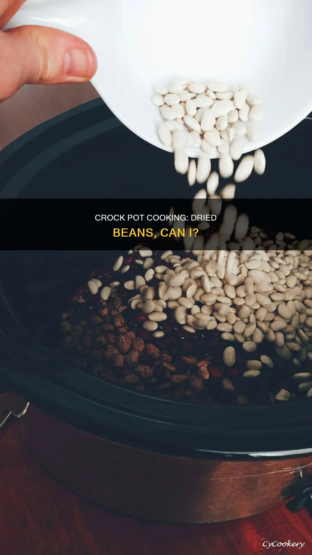 can I cook dried beans in a crock pot
