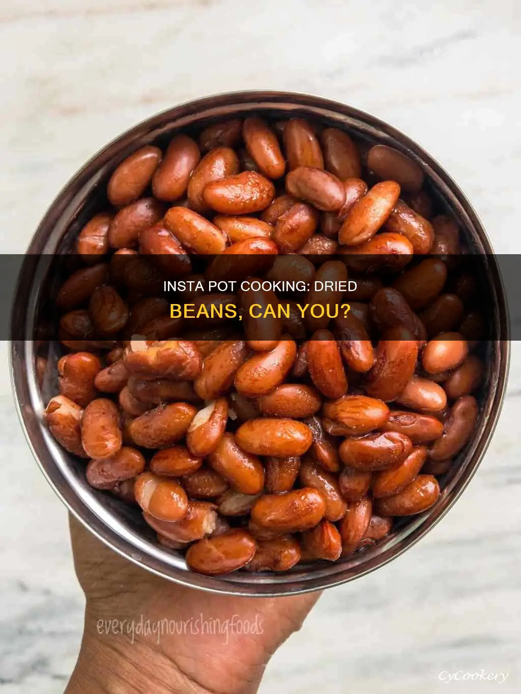 can I cook dried beans in an insta pot