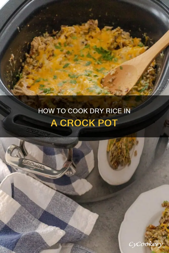 can I cook dry rice in a crock pot
