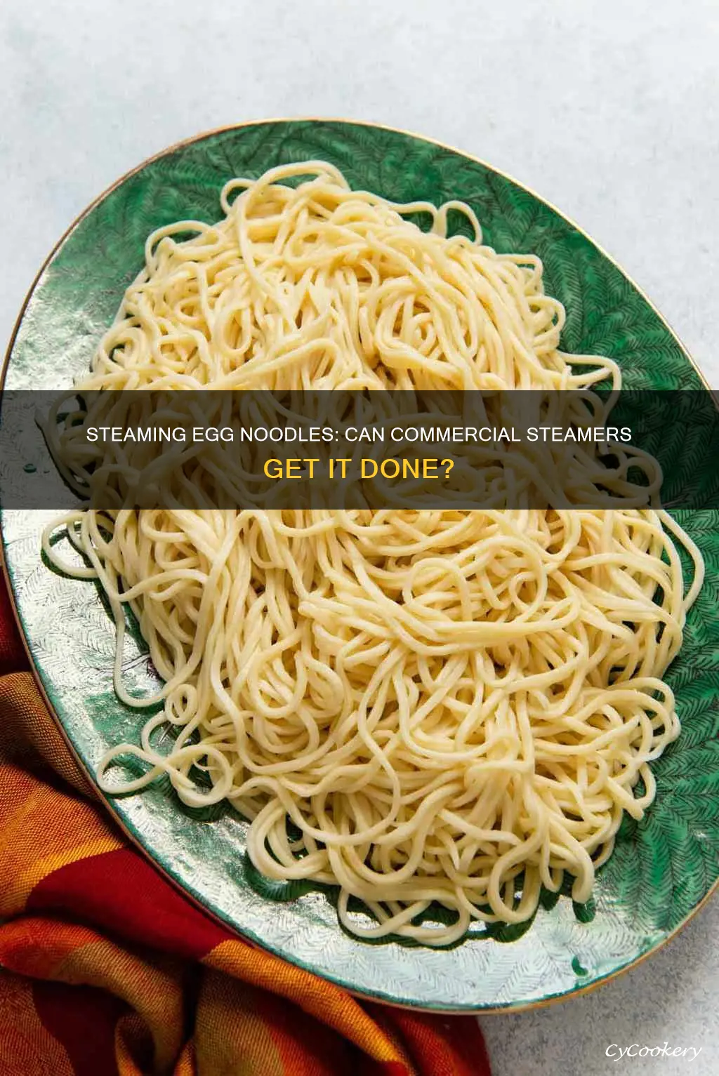 can i cook egg noodles in a commerical steamer