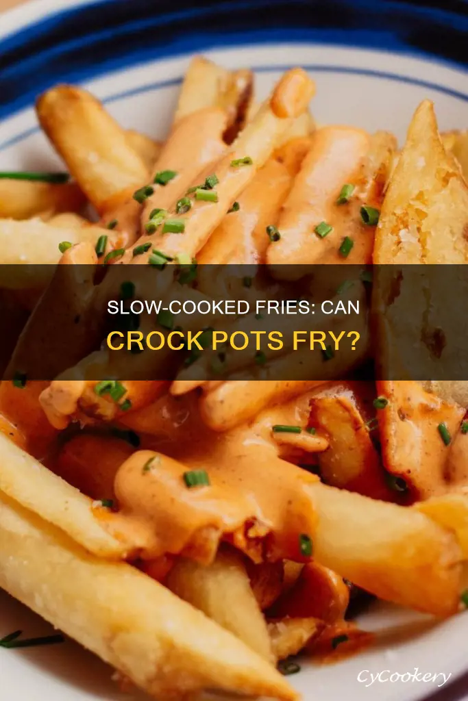 can I cook fries in crock pot