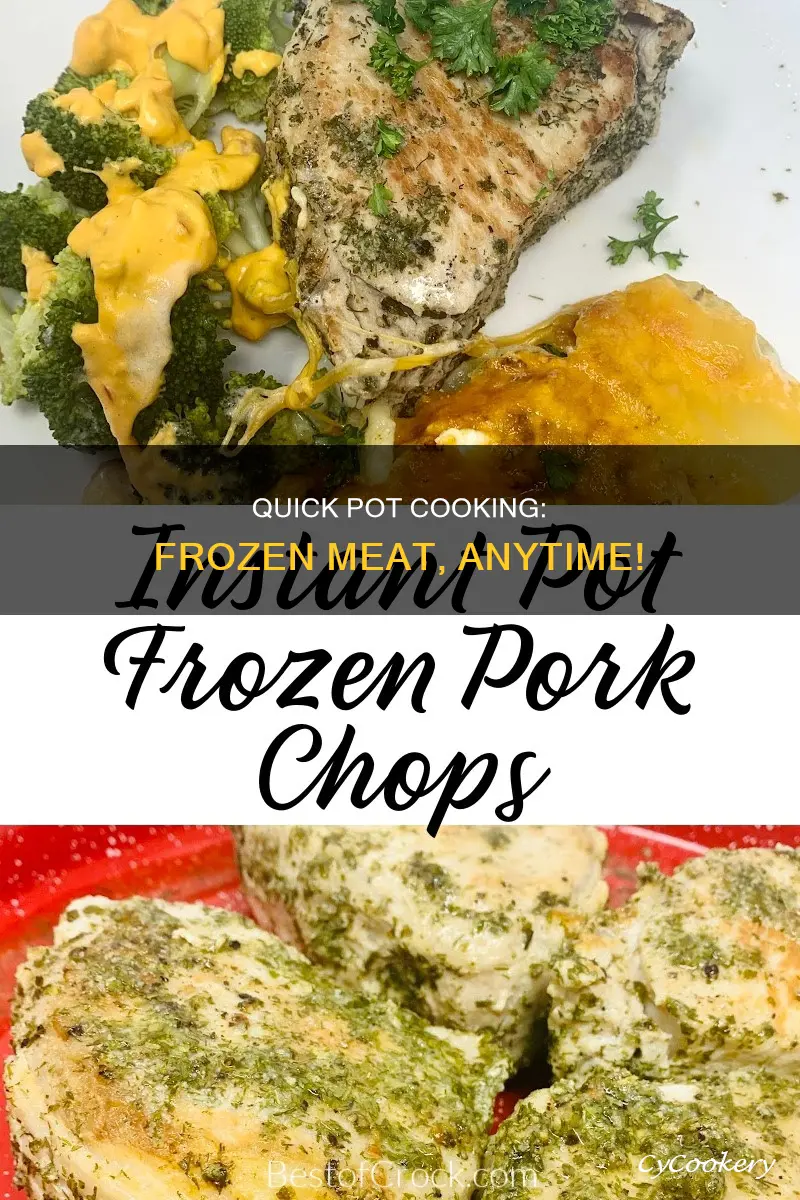 can I cook frozen meat in my quick pot