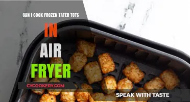 Air Fryer Tater Tot Transformation: From Frozen to Fantastic!