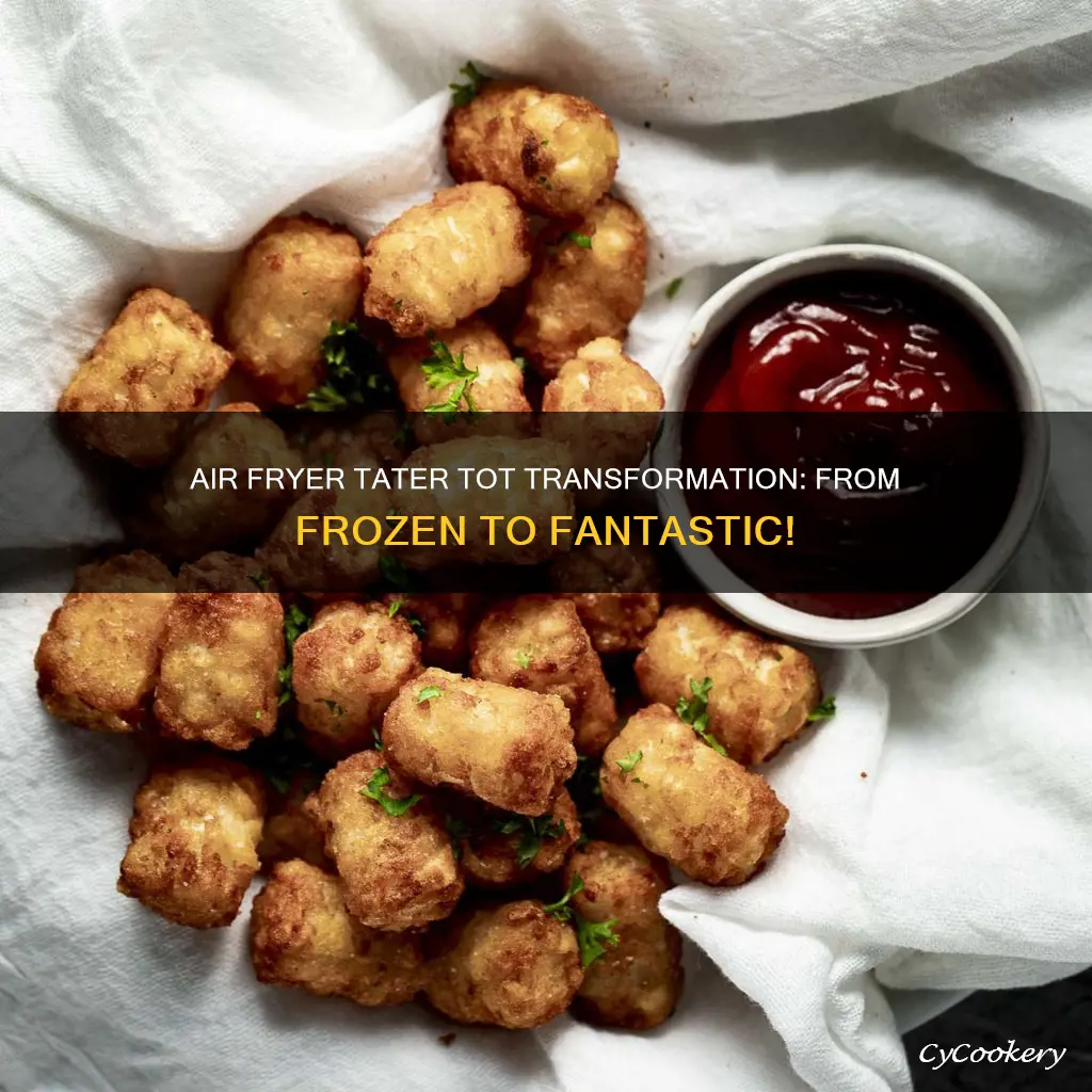 can i cook frozen tater tots in air fryer