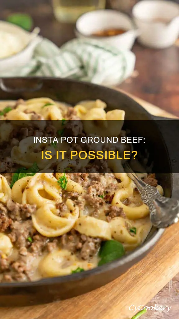 can I cook ground beef in insta pot