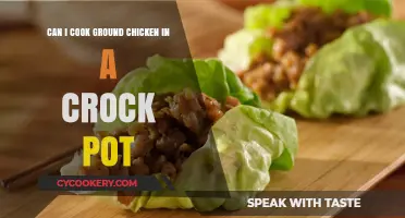 Crock Pot Chicken: Can You Slow Cook Ground Meat?
