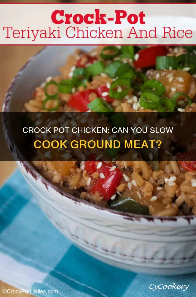 can I cook ground chicken in a crock pot