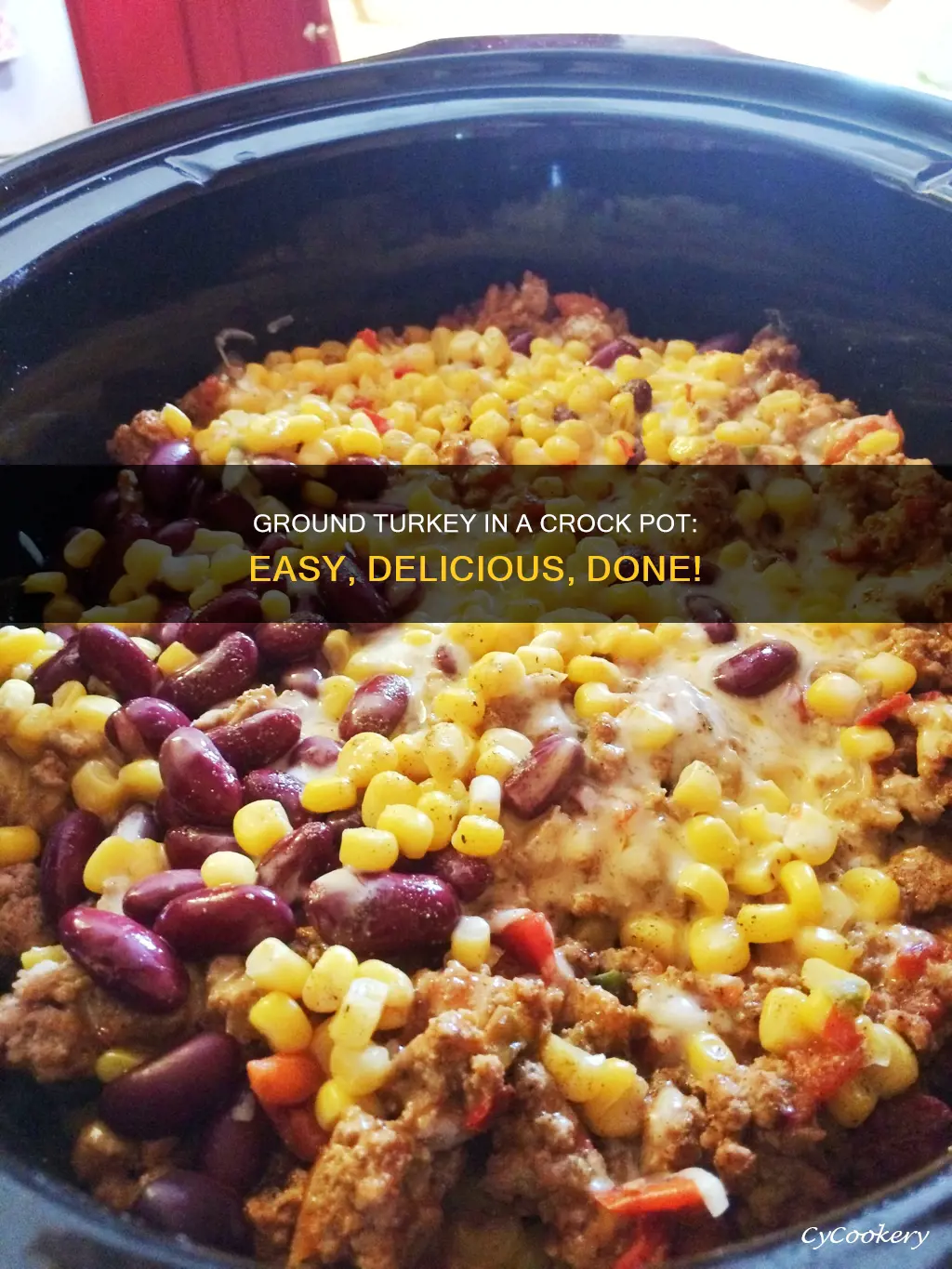 can I cook ground turkey in crock pot