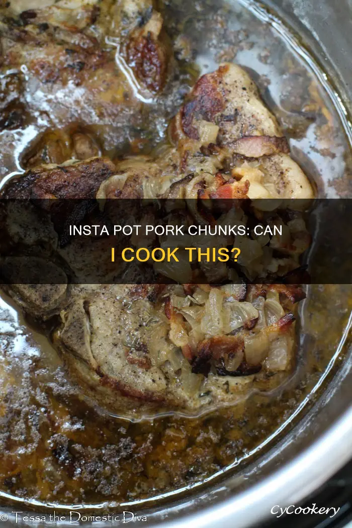 can I cook just pork chunks in insta pot
