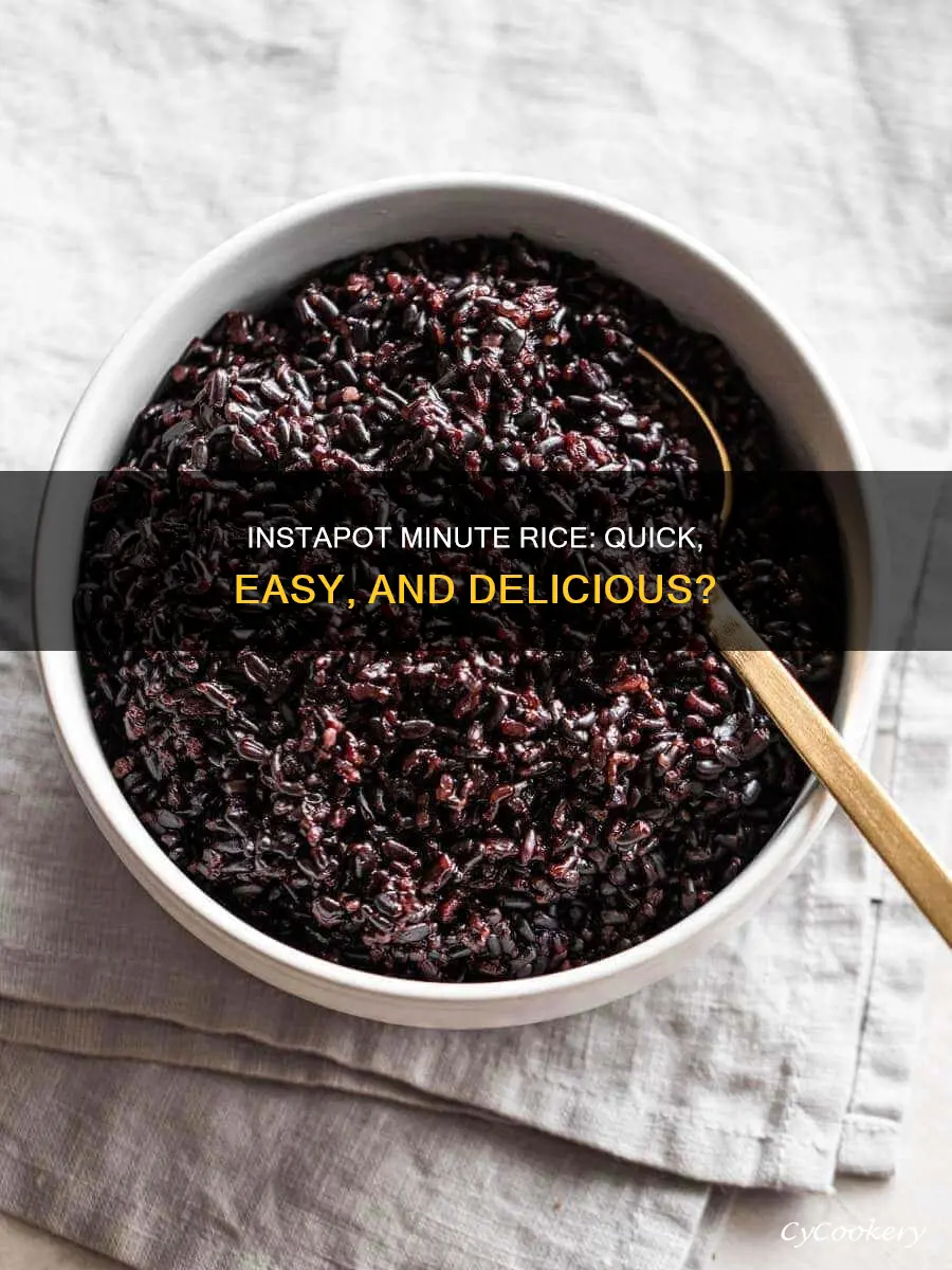 can I cook minute rice in my insta pot