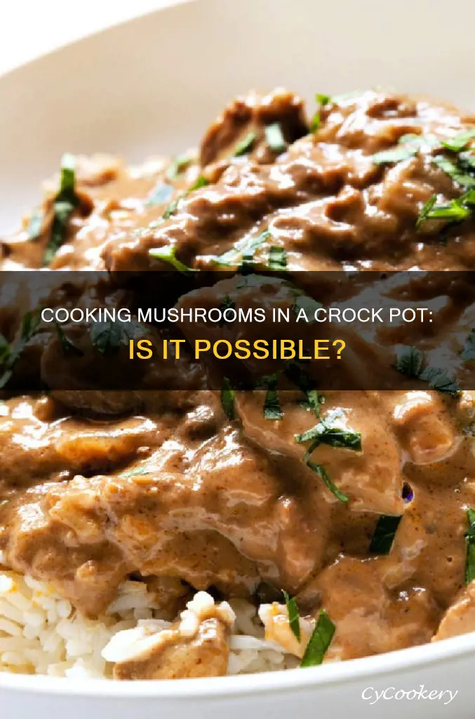 can I cook muchrooms in the crock pot