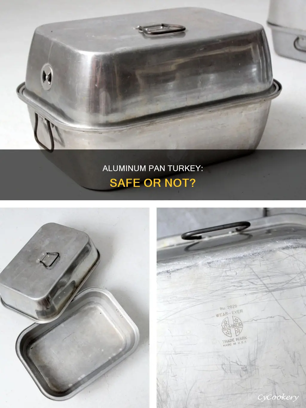 can I cook my turkey in an aluminum pan