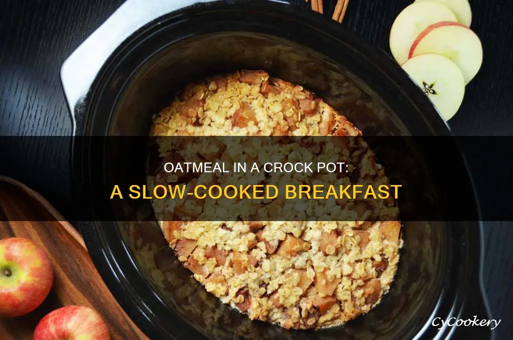 can I cook oatmeal in a crock pot