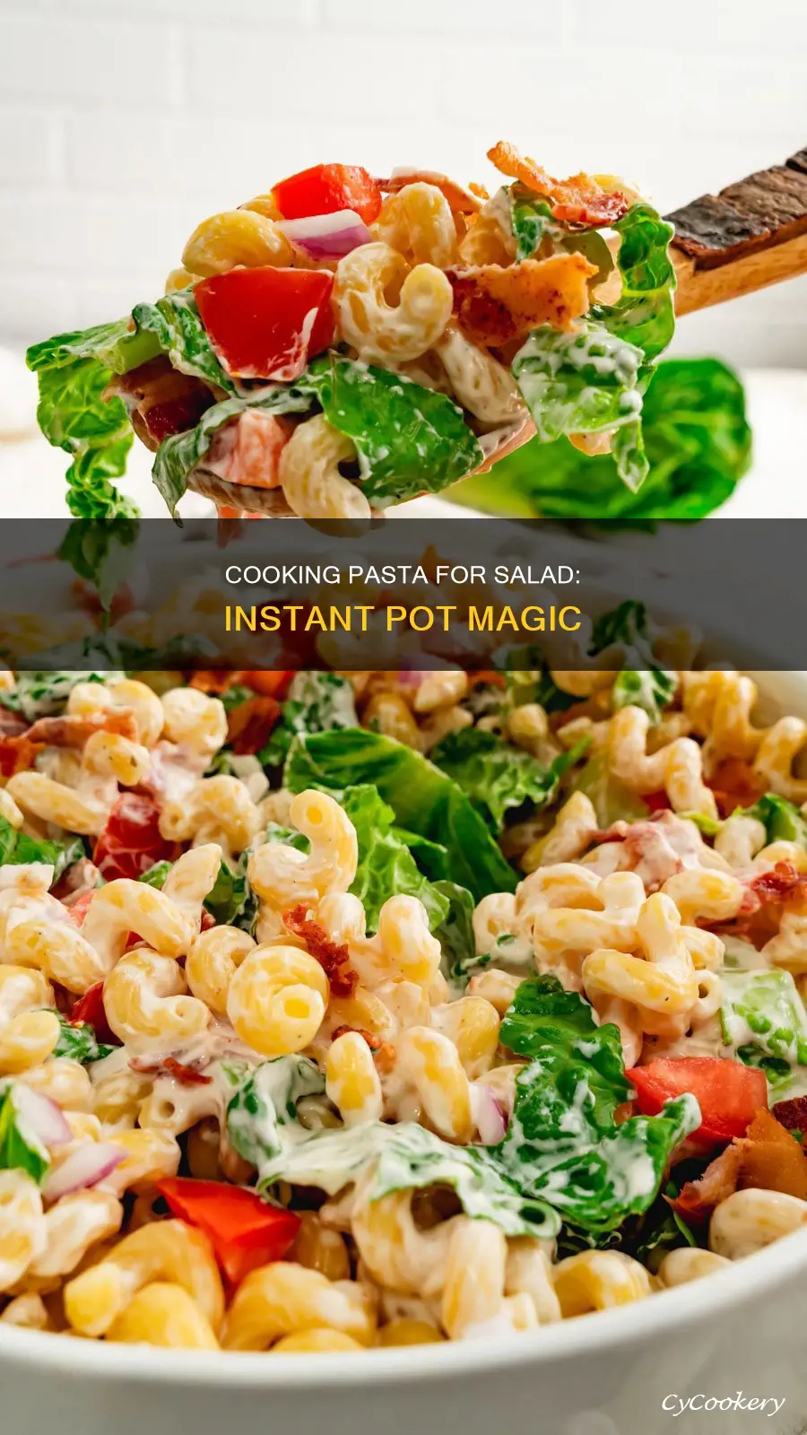 can I cook pasta for salad in insta pot