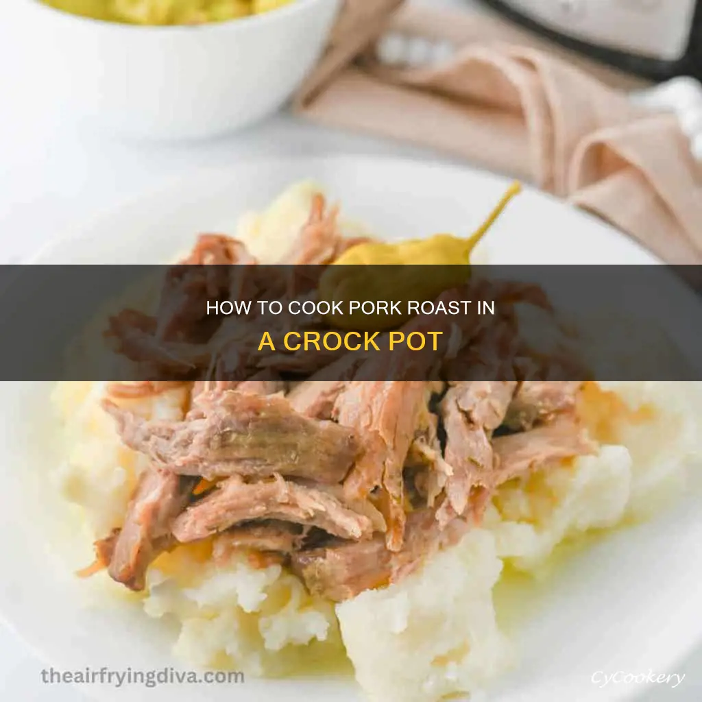 can I cook pork roast on high in crock pot