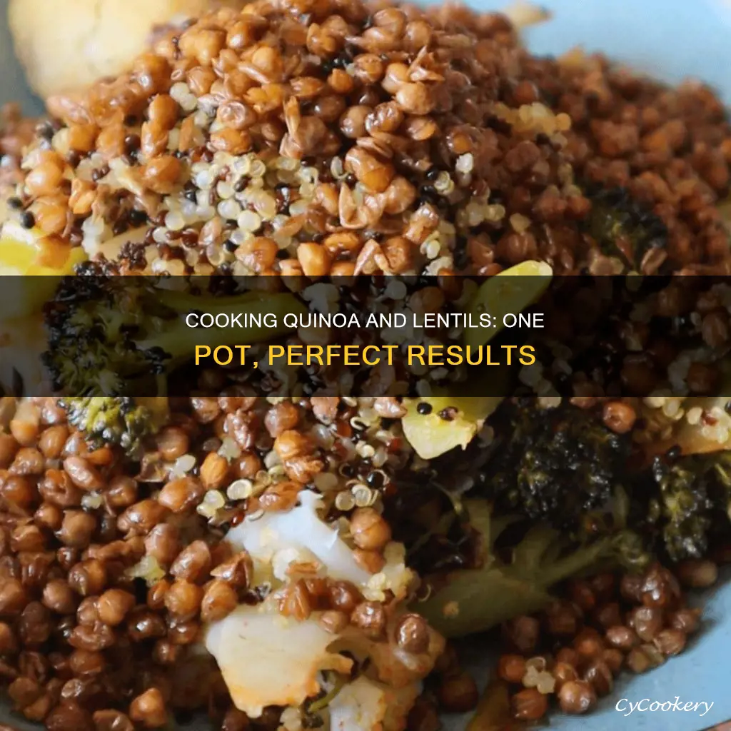 can I cook quinoa and lentils in one pot