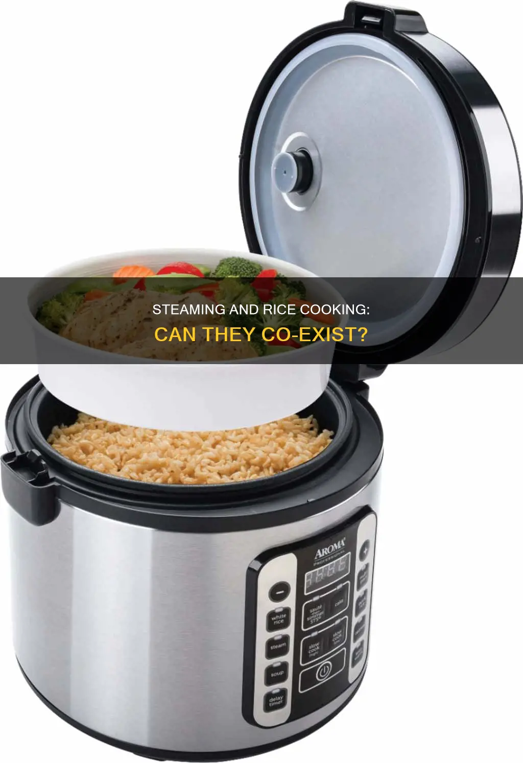 can i cook rice and steam at the same time