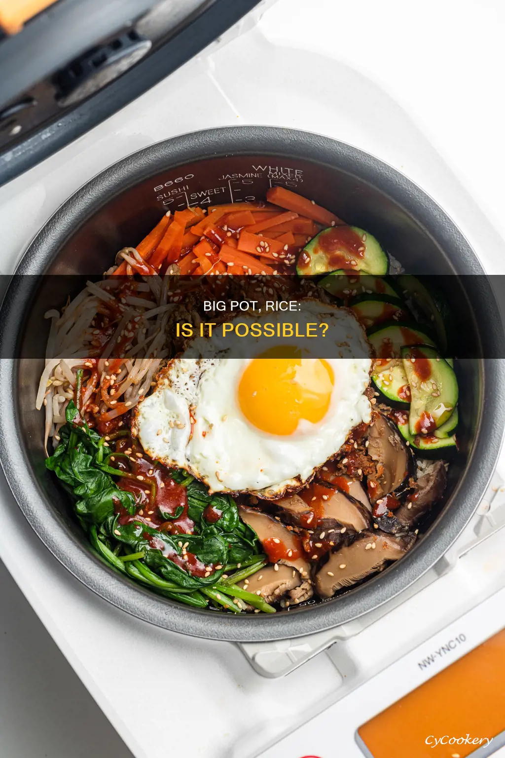 can I cook rice in a big pot