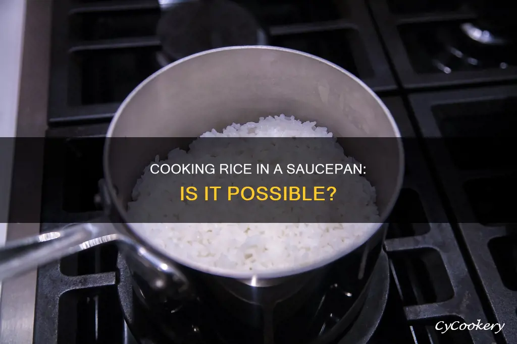 can I cook rice in a sauce pan